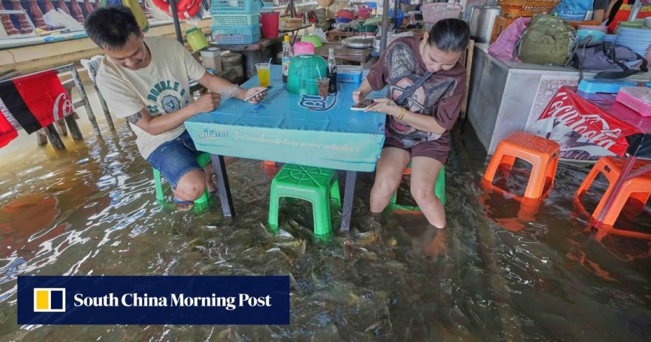 Flooded Thai restaurant becomes viral hit as customers dine in water with live fish