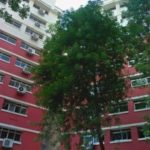 82-year-old man found dead on fitness corner bench in Hougang, Singapore News