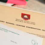 PSLE results 2025: 98.5% of students qualify for secondary school, Singapore News