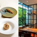 Michelin-starred Terra Tokyo Italian to shutter after 10 years in Singapore, Lifestyle News