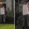 Man urinates in Woodlands community garden at 6.15am, town council urges social responsibility