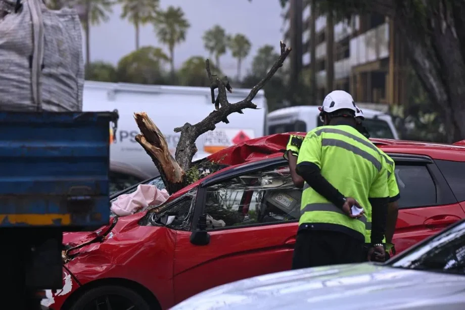 3 taken to hospital after large tree branch falls on cars on ECP