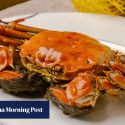 Male vs female hairy crabs: which are tastiest? Hong Kong chefs peel back the differences