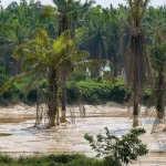 Singapore authorities monitoring East Johor Strait closely after 2 pollution incidents