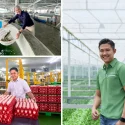 Energy-efficient farms, smart fisheries: How Singapore’s agritech farmers are feeding you fresher, homegrown food