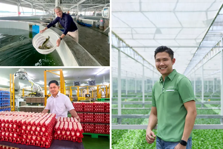 Energy-efficient farms, smart fisheries: How Singapore’s agritech farmers are feeding you fresher, homegrown food