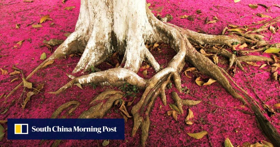 Patagonia’s toughest climb is accountability to Earth