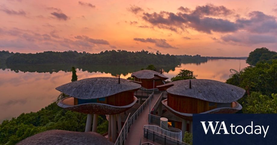 Singapore’s new family-friendly Banyan Tree hotel near Singapore Zoo