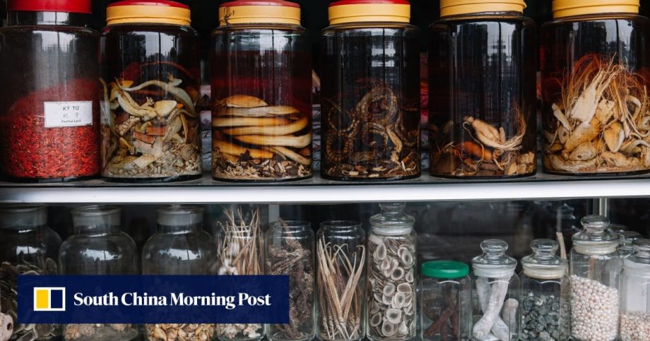 Chinese medicinal wines still have a place in TCM, treating arthritis, period pain and more