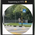 NTU student arrested after being filmed walking naked on campus