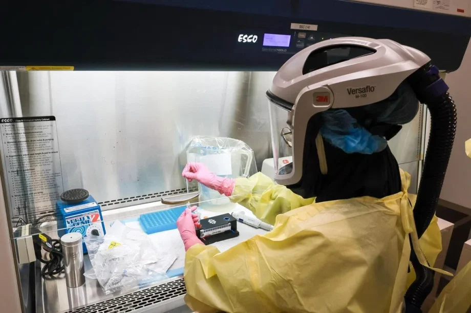 Keeping yellow fever out of S’pore is one top priority for new Communicable Diseases Agency Keeping yellow fever out of S’pore is one top priority for new Communicable Diseases Agency