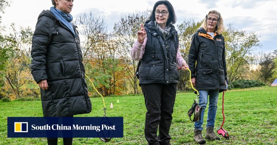 What is ‘hobby dogging’? Trend of training imaginary dogs goes viral What is ‘hobby dogging’? Trend of training imaginary dogs goes viral