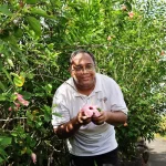From a hibiscus tree honouring one man’s late mum to the largest community garden in S’pore