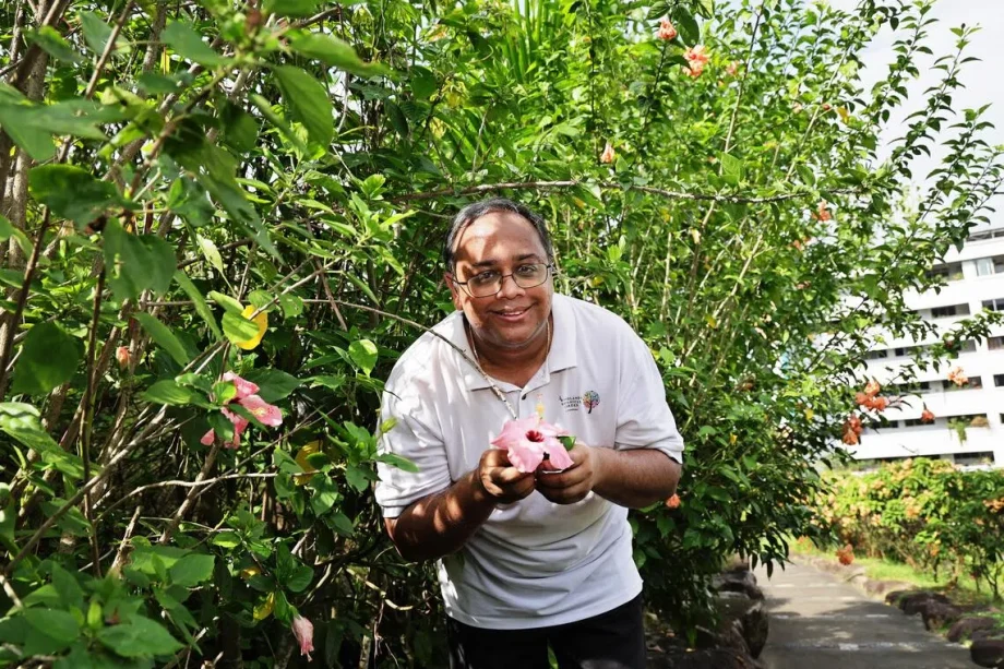 From a hibiscus tree honouring one man’s late mum to the largest community garden in S’pore