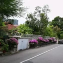 Illegal parking, traffic congestion among residents’ concerns over plan to gazette 38 Oxley Road