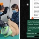 Clementi pet groomer defends calling cat owner ‘bitch’ after 1-star review: ‘She deserved it’