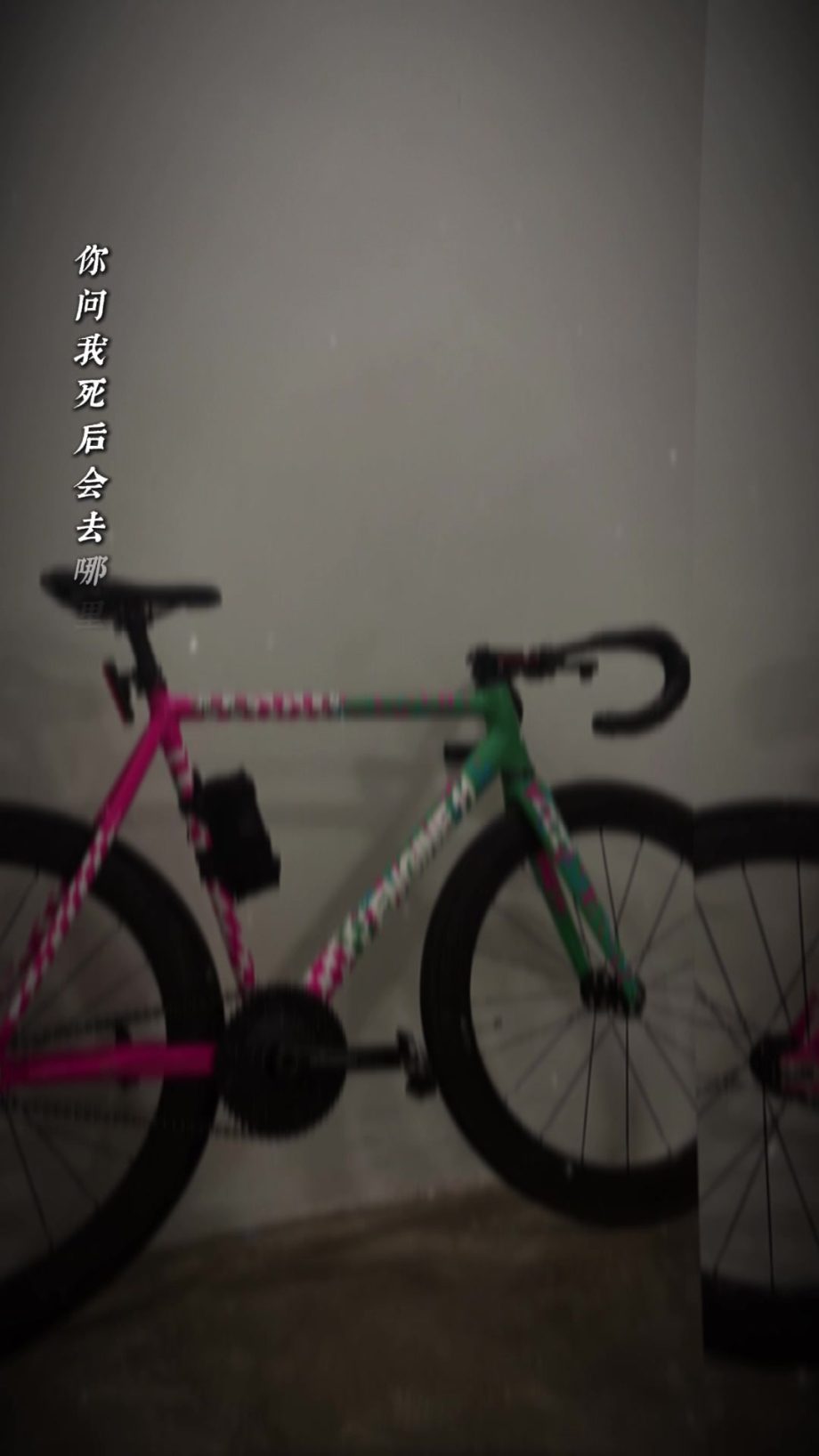 People On TikTok People On TikTok