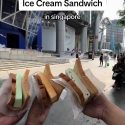 @laine_tibooc Must try popular Ice Cream Sandwich in singapore. #foodtok #travel…