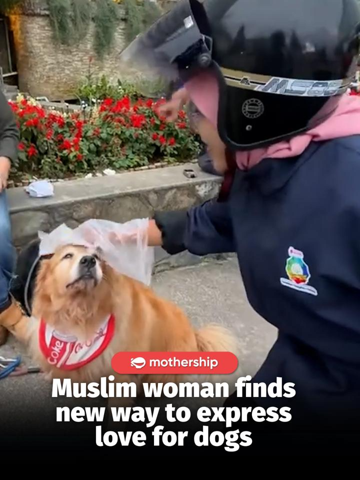 @mothershipsg  #dog #petdog #fyp …