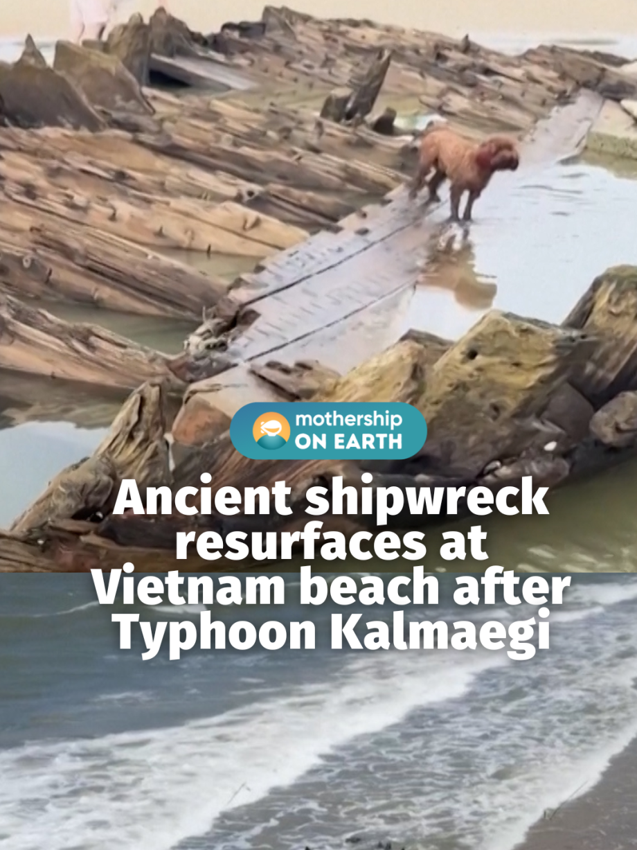 @mothershipsg The team of experts warned that continuing erosion and repeated ex…