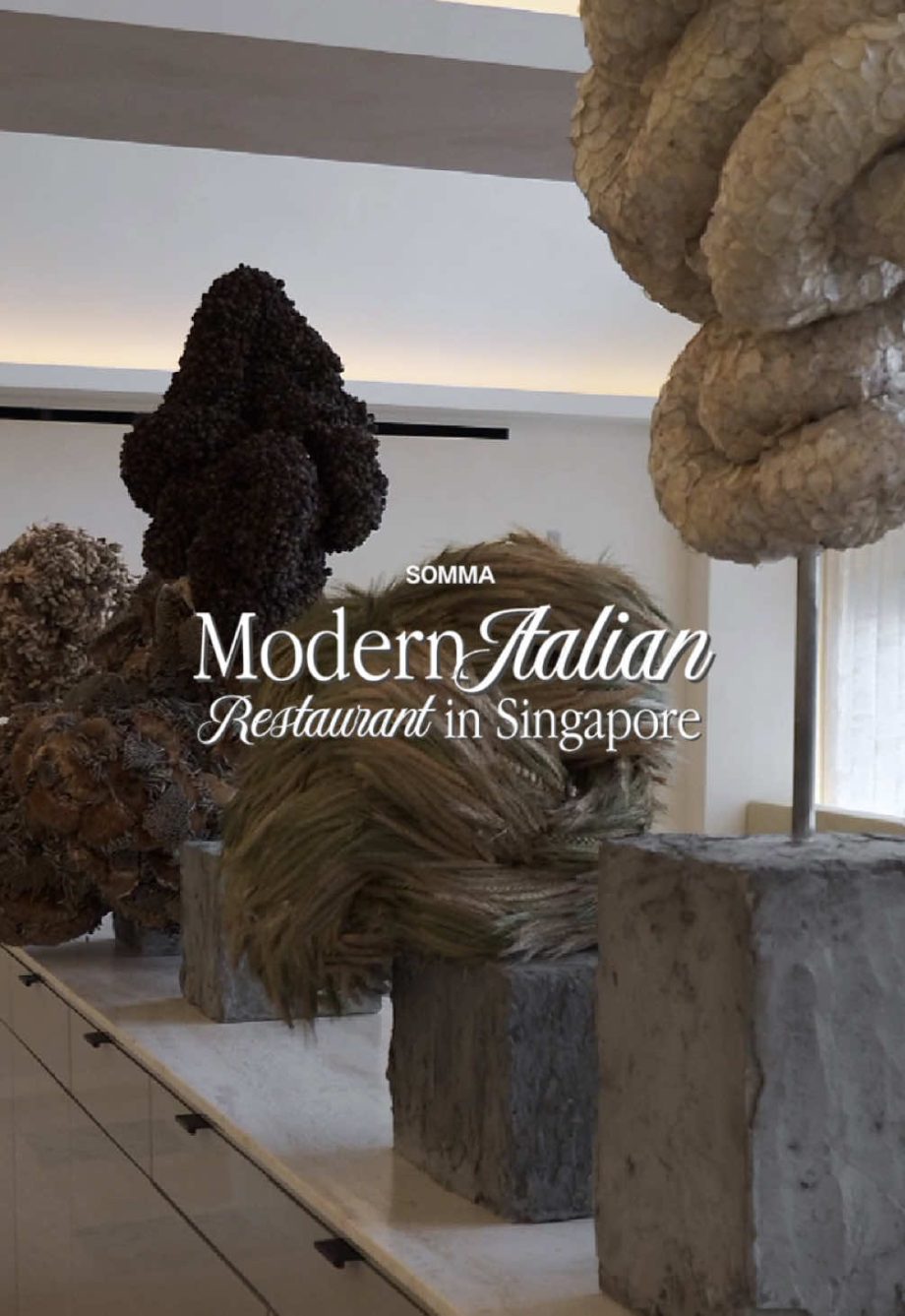 @onericeplease Our best dining experience for the year so far  Somma, 04-02, 46 …