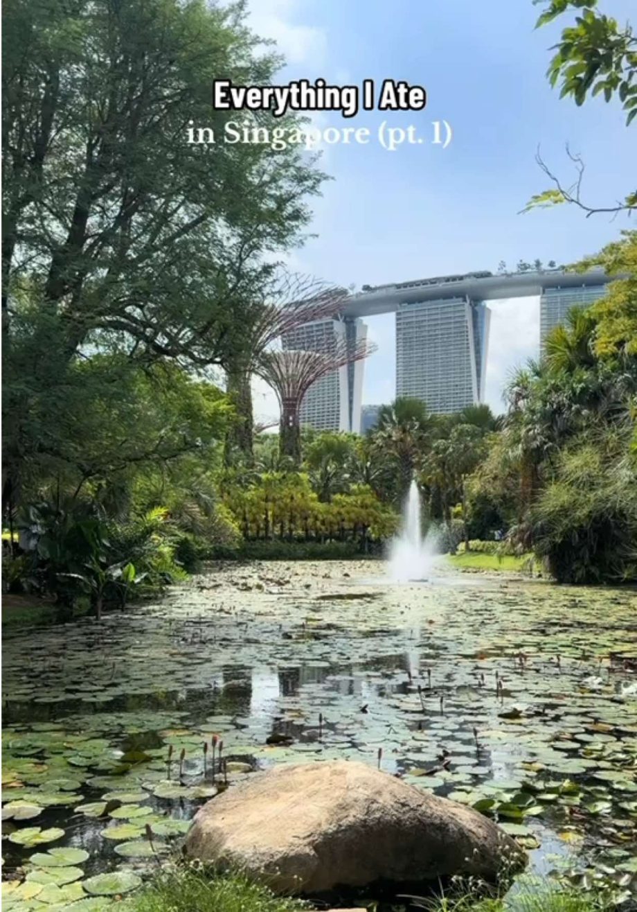 @danicaliau Everything I Ate in Singapore (pt. 1) #singapore #singaporefood #foo…