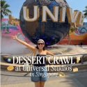 @sweetportfolio DESSERT CRAWL at Universal Studios Singapore  All the desserts a…