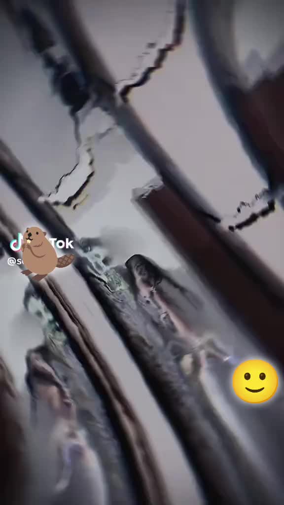 People On TikTok People On TikTok