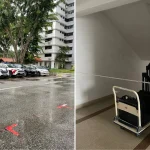 Elderly man dies after incident at Laguna Park, police arrest 23-year-old and seize penknives