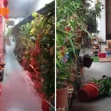 Yishun resident clutters corridor with plants that scratch people, burns incense at 2am