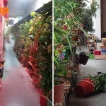 Yishun resident clutters corridor with plants that scratch people, burns incense at 2am