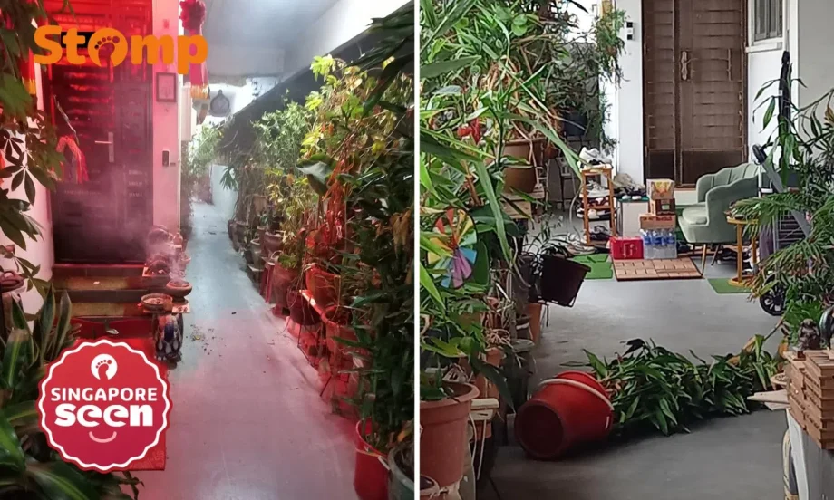 Yishun resident clutters corridor with plants that scratch people, burns incense at 2am Yishun resident clutters corridor with plants that scratch people, burns incense at 2am