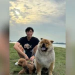 ‘Unable to sleep not knowing how he is’: Man reunites with missing pet dog after 2-day search