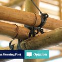 Language Matters | The enduring legacy of bamboo, a symbol of resilience, strength and adaptability in Asia