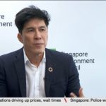 Singapore Environment Council warns that green movement may lose steam