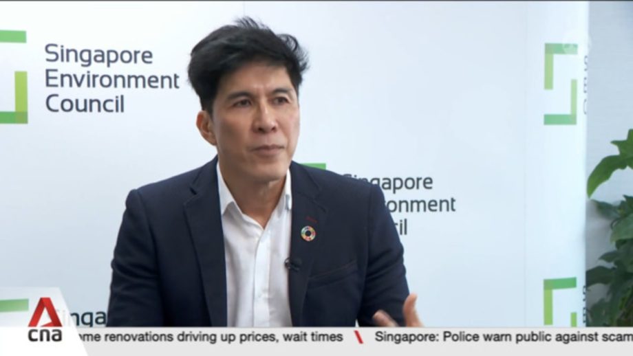 Singapore Environment Council warns that green movement may lose steam