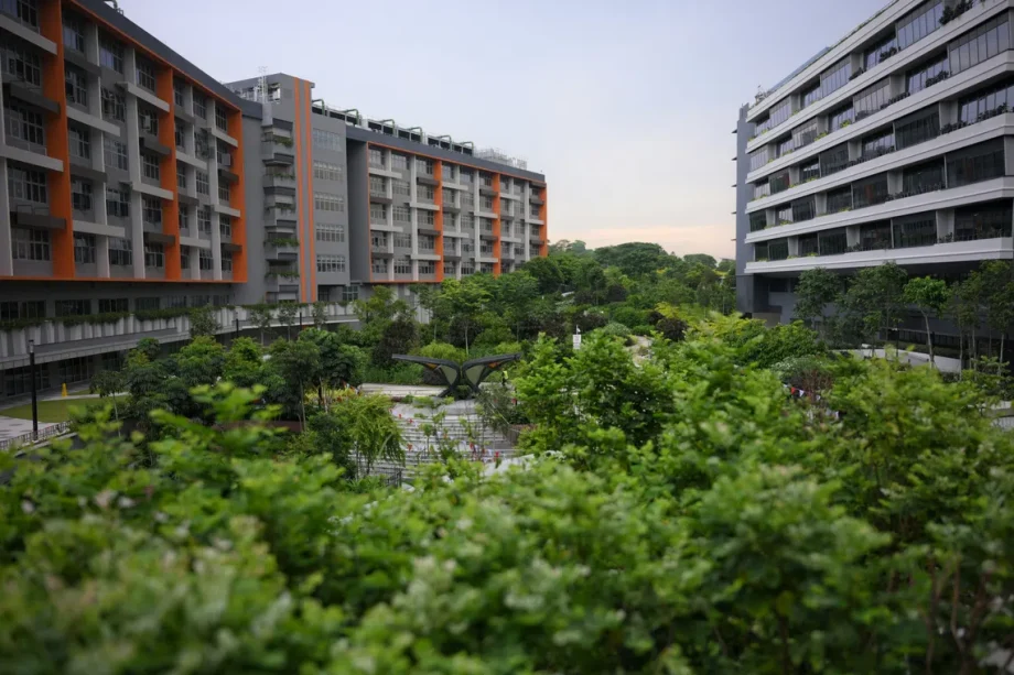 New Singapore hospitals will be built faster, likely to cost less: Ong Ye Kung New Singapore hospitals will be built faster, likely to cost less: Ong Ye Kung