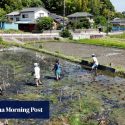 This Japanese farm homestay lets you get involved in producing organic food