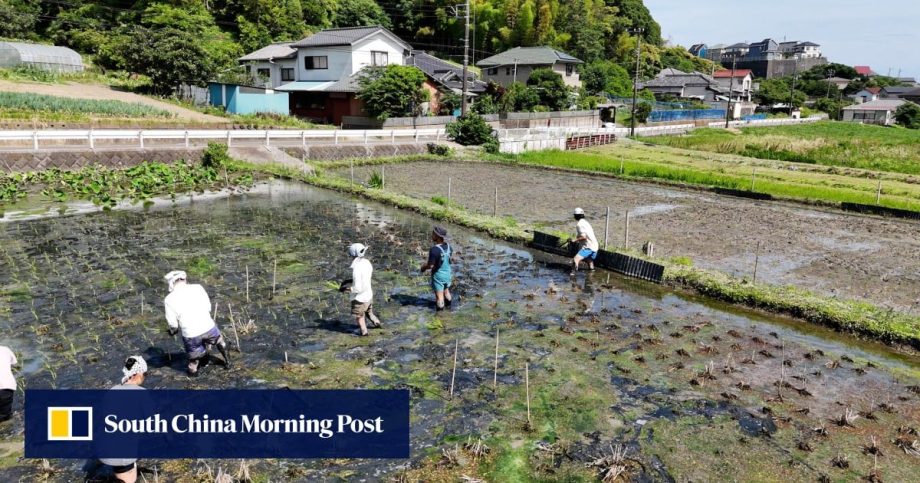 This Japanese farm homestay lets you get involved in producing organic food This Japanese farm homestay lets you get involved in producing organic food