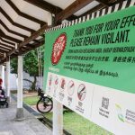 Dengue cases in Singapore hit a seven-year low in 2025 amid global decrease