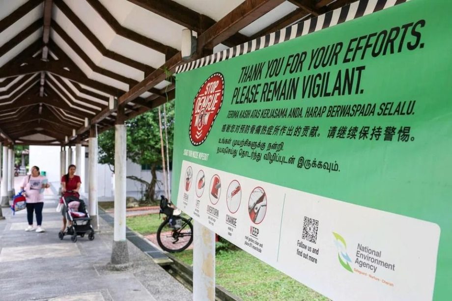 Dengue cases in Singapore hit a seven-year low in 2025 amid global decrease