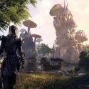 Elder Scrolls TV Series Is Possible, Says Todd Howard