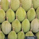 Singapore sees  all-you-can-eat Musang King durian buffet for year-end holiday