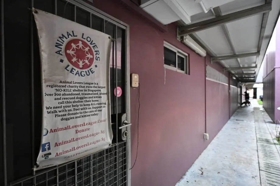 Animal Lovers League loses lease at The Animal Lodge; authorities prioritising animals’ well-being Animal Lovers League loses lease at The Animal Lodge; authorities prioritising animals’ well-being