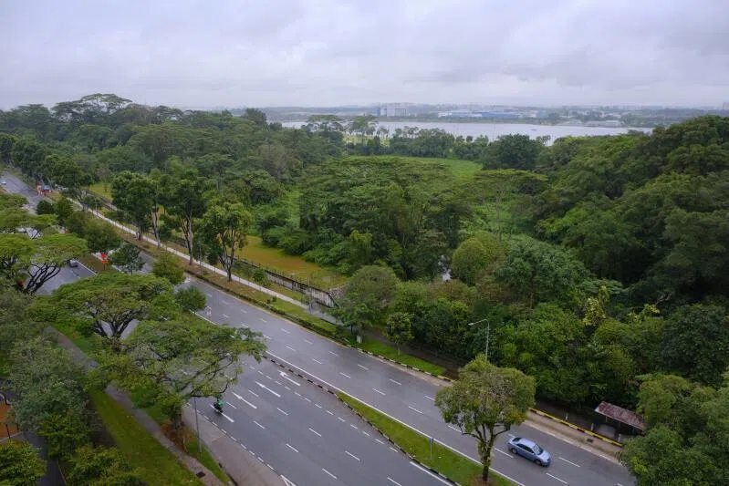 HDB launches exec condo site in Miltonia Close for sale