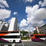 Standard Chartered Singapore Marathon: Bus service adjustments on Dec 6 and 7