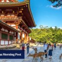 Best things to do in Nara, Japanese city that’s more than just an Osaka or Kyoto side trip