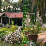 No KPI or 8-to-5: Youths are recharging at this Perak ‘retirement home’, Lifestyle News