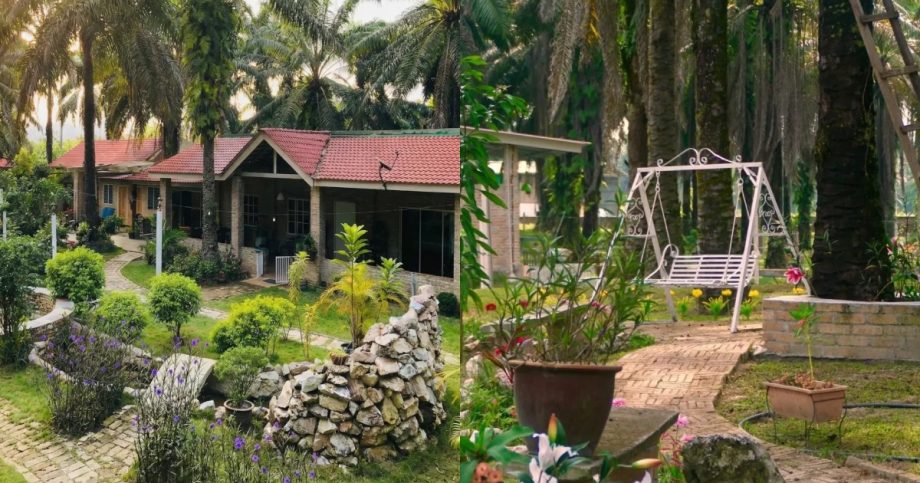 No KPI or 8-to-5: Youths are recharging at this Perak ‘retirement home’, Lifestyle News No KPI or 8-to-5: Youths are recharging at this Perak ‘retirement home’, Lifestyle News