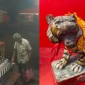 ‘Do the right thing’: Chinese temple in Balestier urges return of stolen Tiger God statue, Singapore News